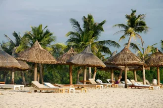 Things to Do in Canggu