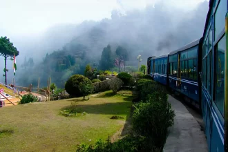 Things to Do in Darjeeling