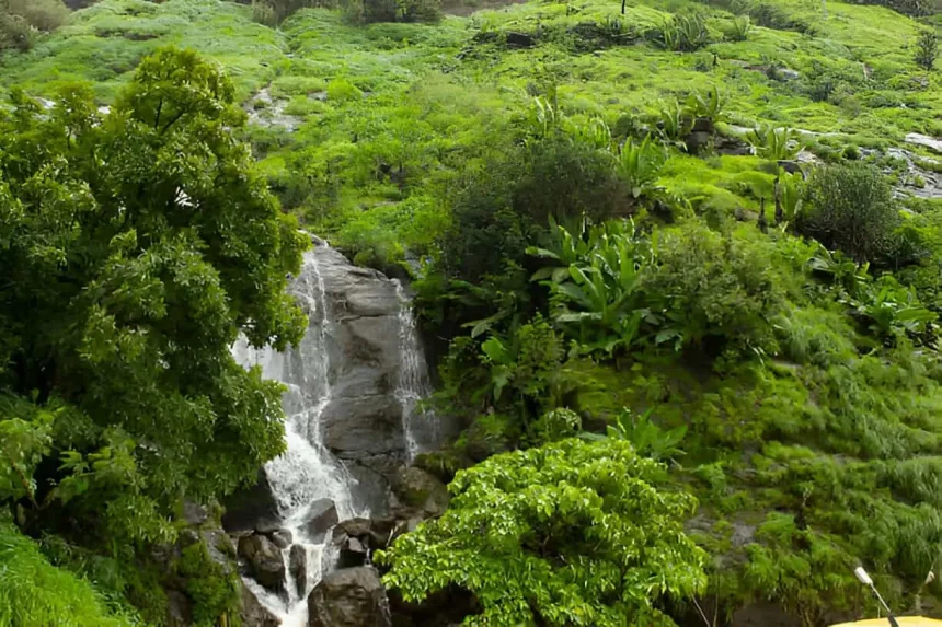 Things to Do in Lonavala