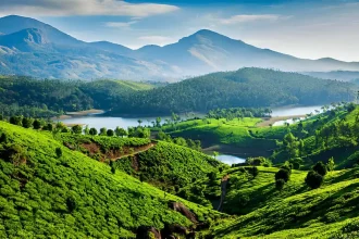 Things to Do in Munnar