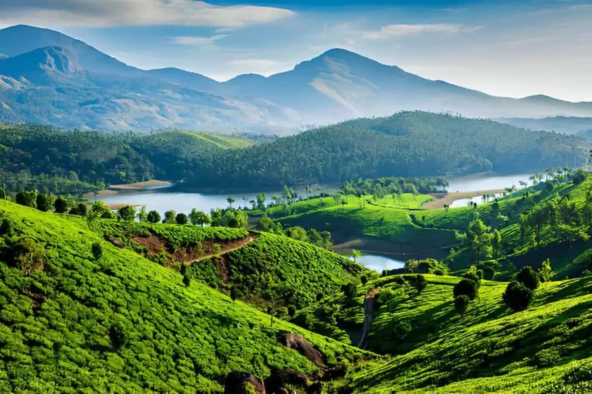 Things to Do in Munnar