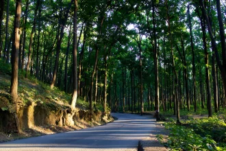 Things to Do in Dehradun