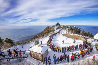 Things to Do in Manali